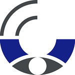 Ifs-Logo_neu