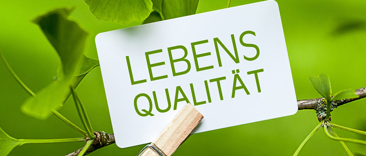 lebensqualität, geld, anti-aging, freizeit, frieden, lebensfreude, freiheit, wohlbefinden, erfolg, umwelt, harmonie, leben, lebenskonzept, lebenslust, herz, frei, wellness, massage, potential, kreativität, familie, kinder, sicherheit, gesundheit, gesund, krankheit, krank, selbstbewusstsein, selbsterfahrung, selbstverwirklichung, körperpflege, urlaub, spaß, freude, zuhause, erholung, entspannung, entspannen, haus, rentner, natur, besitz, luxus, lebensstil, genuss, genießen, senior, business, arbeit, schönheit