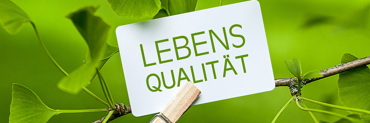 lebensqualität, geld, anti-aging, freizeit, frieden, lebensfreude, freiheit, wohlbefinden, erfolg, umwelt, harmonie, leben, lebenskonzept, lebenslust, herz, frei, wellness, massage, potential, kreativität, familie, kinder, sicherheit, gesundheit, gesund, krankheit, krank, selbstbewusstsein, selbsterfahrung, selbstverwirklichung, körperpflege, urlaub, spaß, freude, zuhause, erholung, entspannung, entspannen, haus, rentner, natur, besitz, luxus, lebensstil, genuss, genießen, senior, business, arbeit, schönheit
